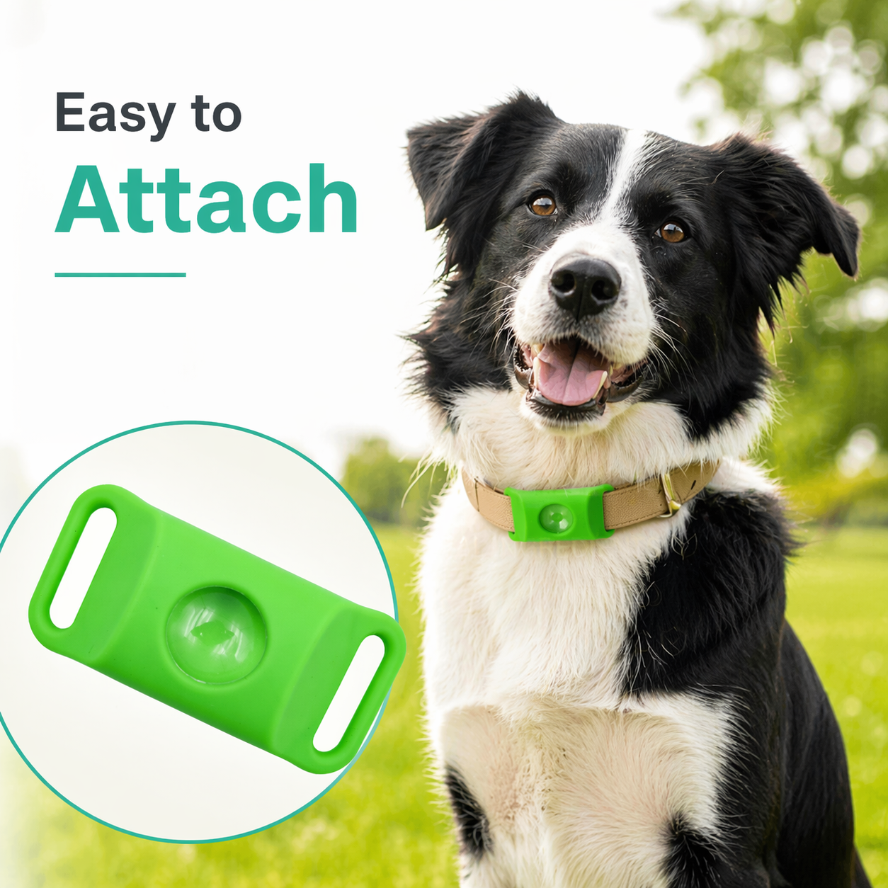 Natural Flea & Tick Repellent Collar for Cats & Dogs-HS