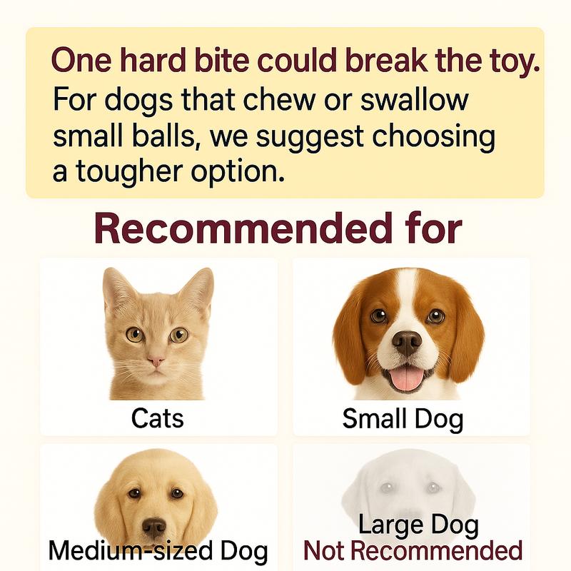 New Interactive Cat & Dog Teaser Toy , Kitten Rolling Ball Toy, Pet Supplies, Dog & Cat Accessories Cute dog toys-AJZ