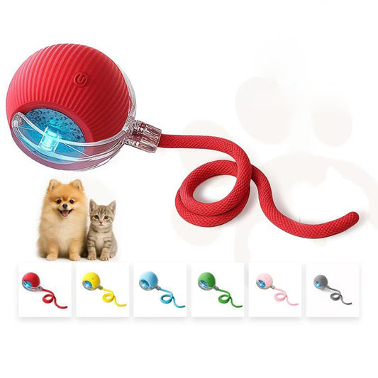 New Interactive Cat & Dog Teaser Toy , Kitten Rolling Ball Toy, Pet Supplies, Dog & Cat Accessories Cute dog toys-AJZ